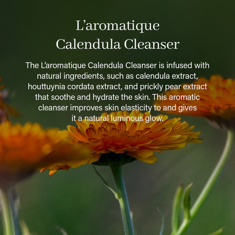 ARENCIA Calendula Rice Mochi Cleanser 120g